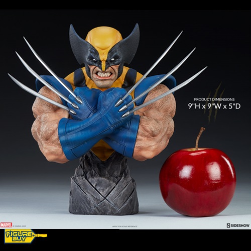 (예약)Sideshow -9인치- Wolverine Bust