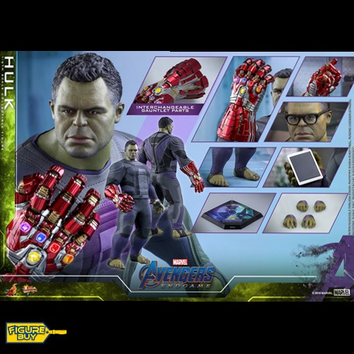 HOTTOYS-MMS558- Avengers: Endgame - 1/6사이즈- Hulk