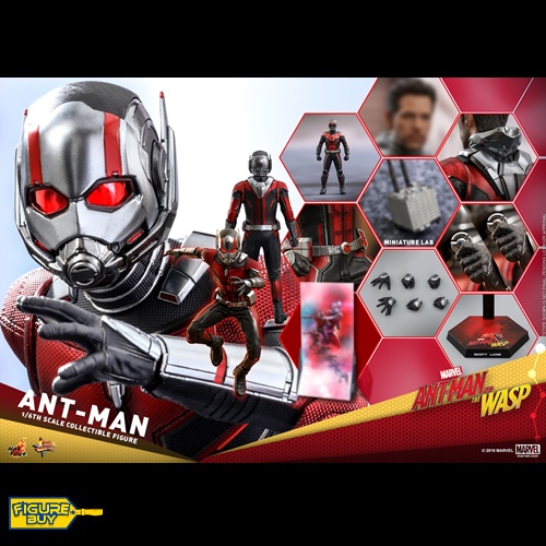(8월4일 전량 입고 )Hot Toys - MMS497 - Ant-Man and the Wasp - 1/6사이즈 Ant-Man