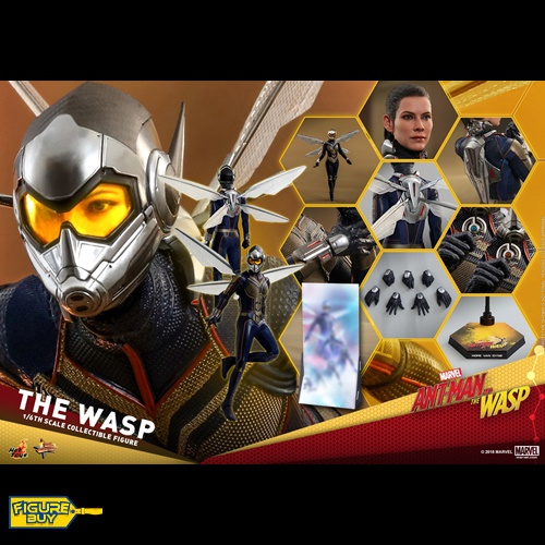 Hot Toys - MMS498 - Ant-Man and the Wasp - 1/6사이즈- The Wasp