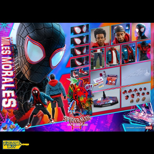 (빠른 배송 보장 상품  예약 상품)Hot Toys -1/6사이즈- MMS567-Spider-Man: Into the Spider-Verse movie-Miles Morales