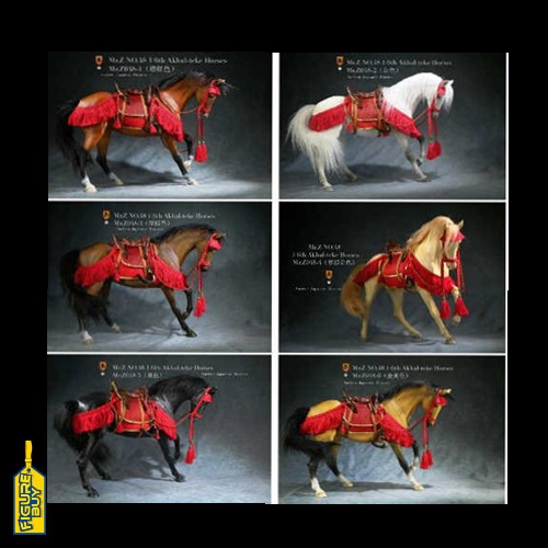 Mr.Z - 1/6사이즈- No.48- Akhal-Teke Horses（all 6 colours）