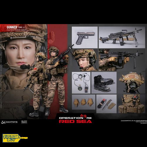 DAMTOYS-1/6 사이즈- DMS015- OPERATION RED SEA PLA NAVY MARINE CORPS “JIAO LONG” SPECIAL OPERATIONS BRIGADE GUNNER TONG LI