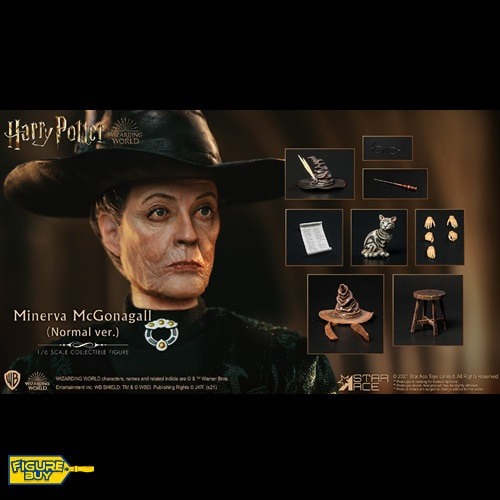 (예약 상품) Star Ace Toys - 1/6사이즈- SA0094 - Minerva McGonagall (Normal ver.)